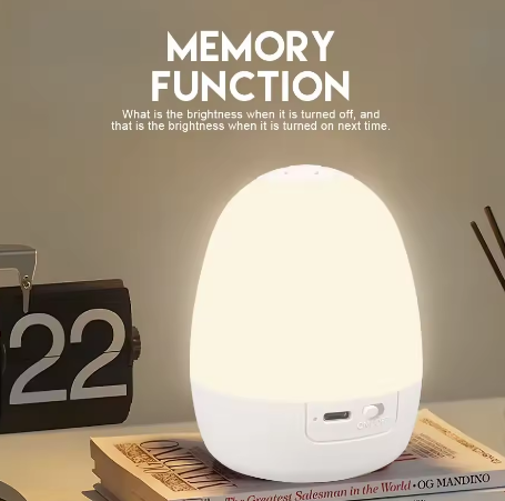 “Egg-Shaped Silicone Night Lig – Baby Nursery Egg Light Bewertung und Preis
